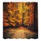 Ambesonne Forest Shower Curtain, Fall Photo in National Park Vivid Leaf Plant Eco Earth Mystical Theme, Cloth Fabric Bathroom Decor Set with Hooks, 69" W x 70" L, Orange Brown